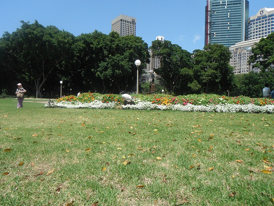 Hyde Park 4