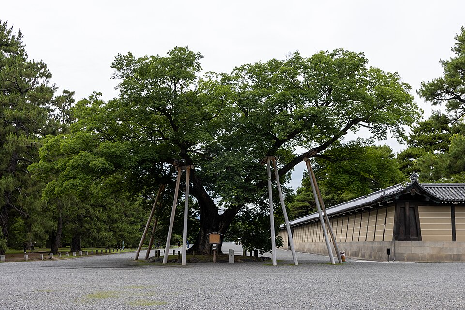 Kyoto Imperial Palace 3