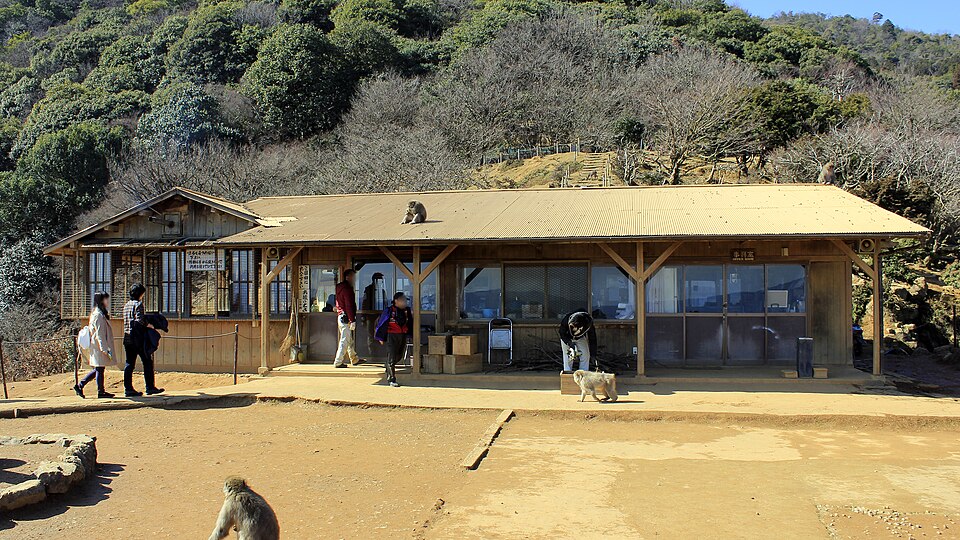 Iwatayama Monkey Park 2
