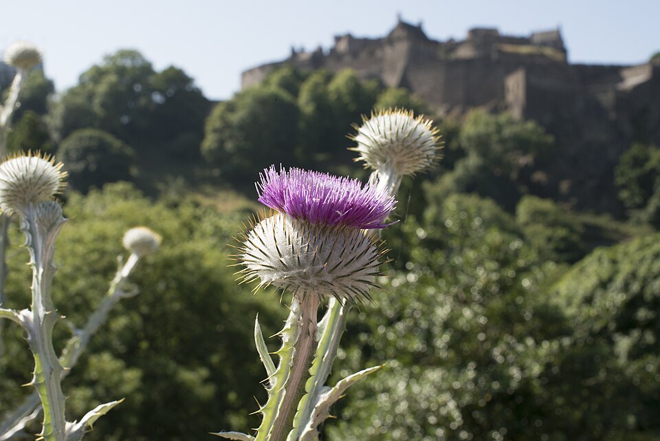 Edinburgh Castle 2