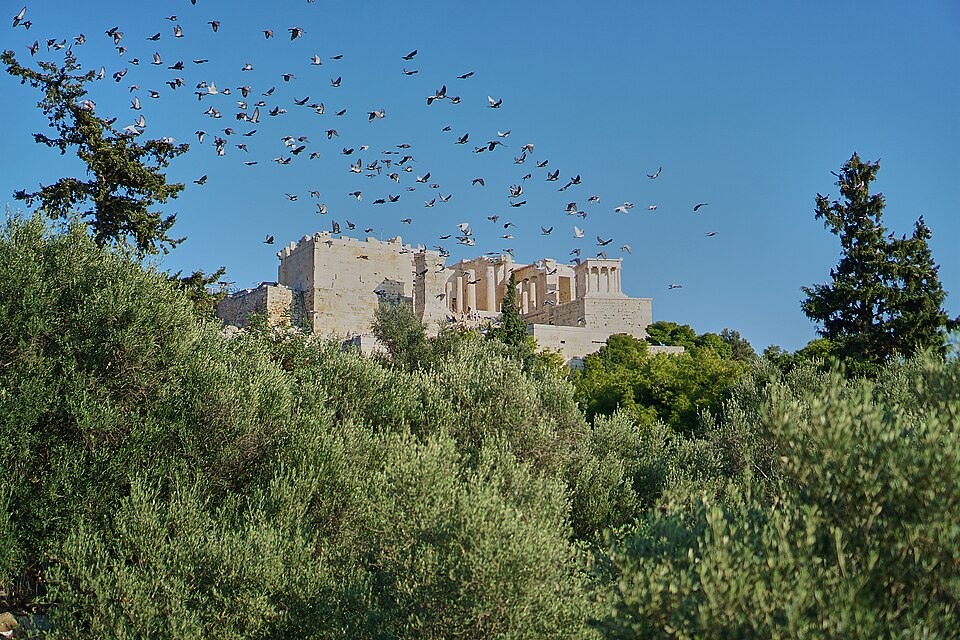 Temple of Athena Nike 2