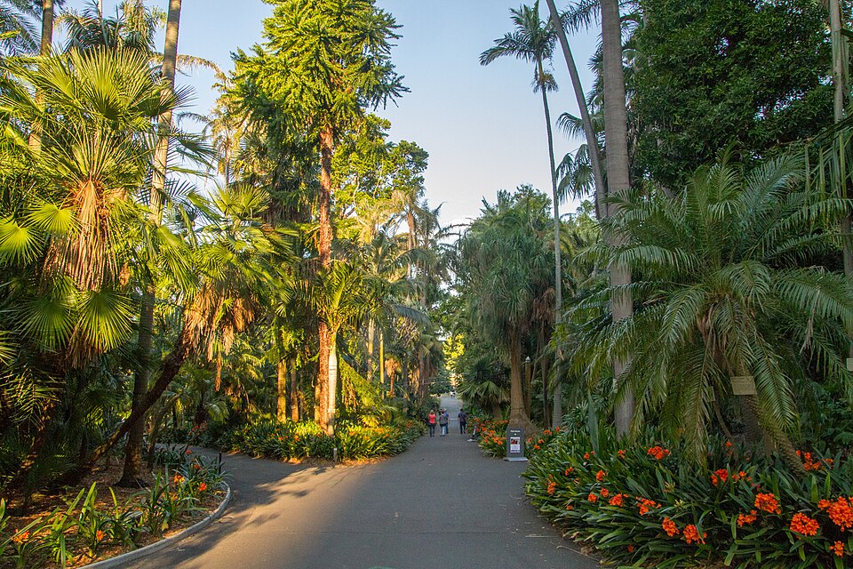 Royal Botanic Gardens, Sydney 2