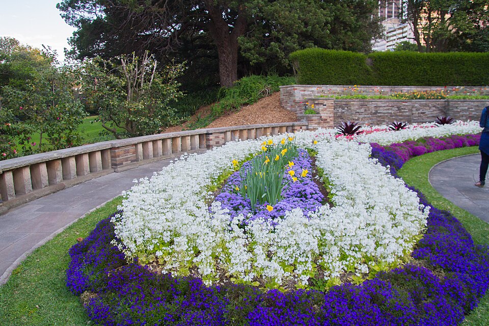 Royal Botanic Gardens, Sydney 3